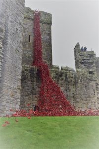 Carlisle Castle to host iconic Weeping Window Poppies