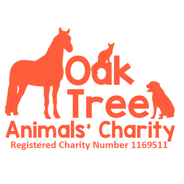 Oak Tree Animal Charity
